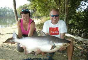 mekong giant catfish chiang mai fishing
